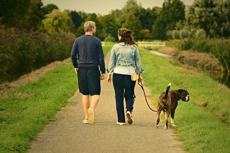Mindful Walking in Nature